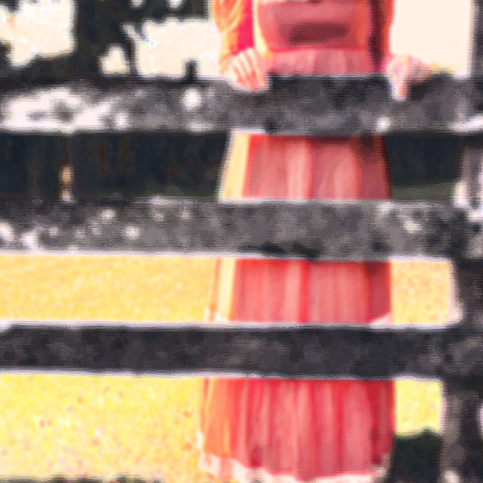 <?php echo pulse_output(); ?>