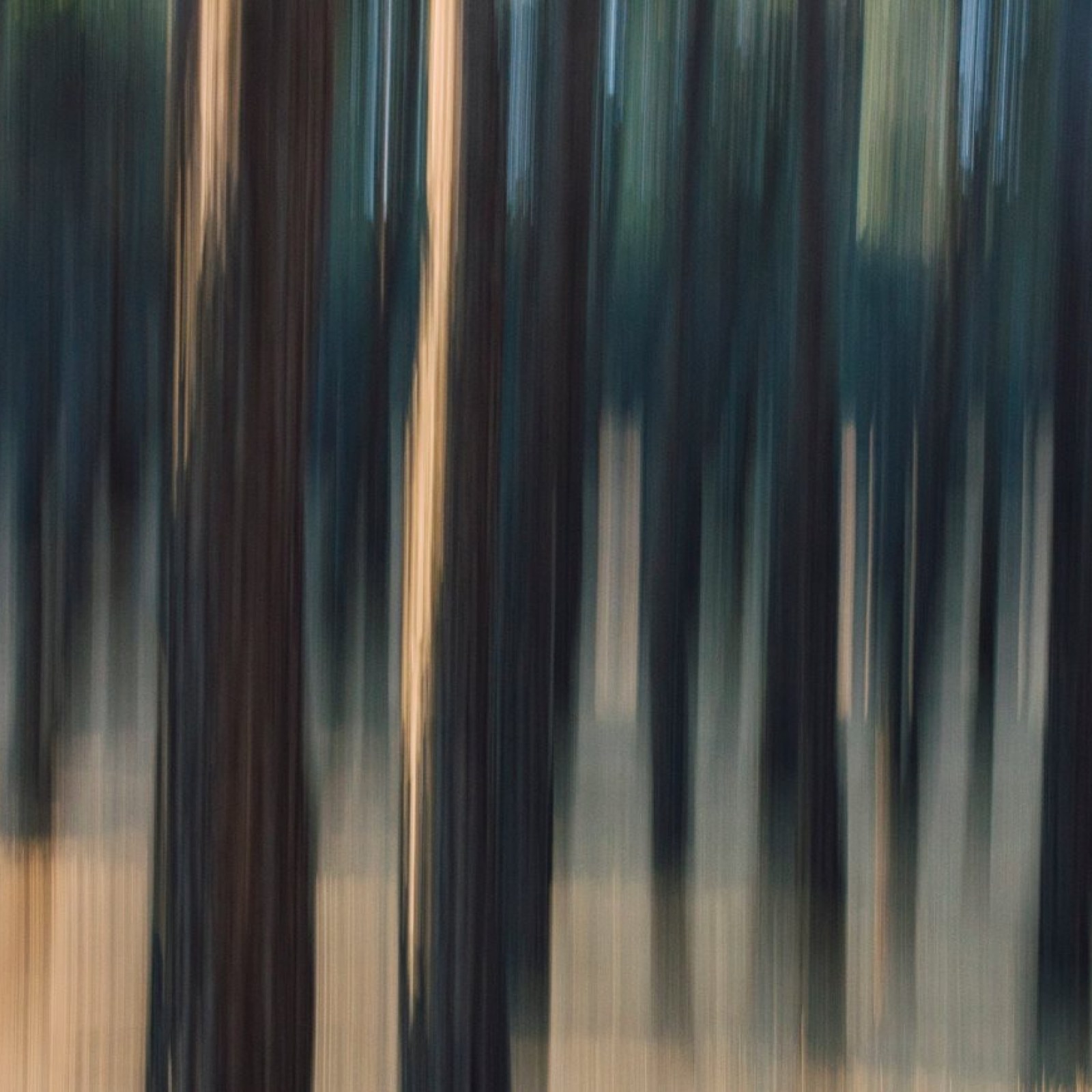 <?php echo pulse_output(); ?>