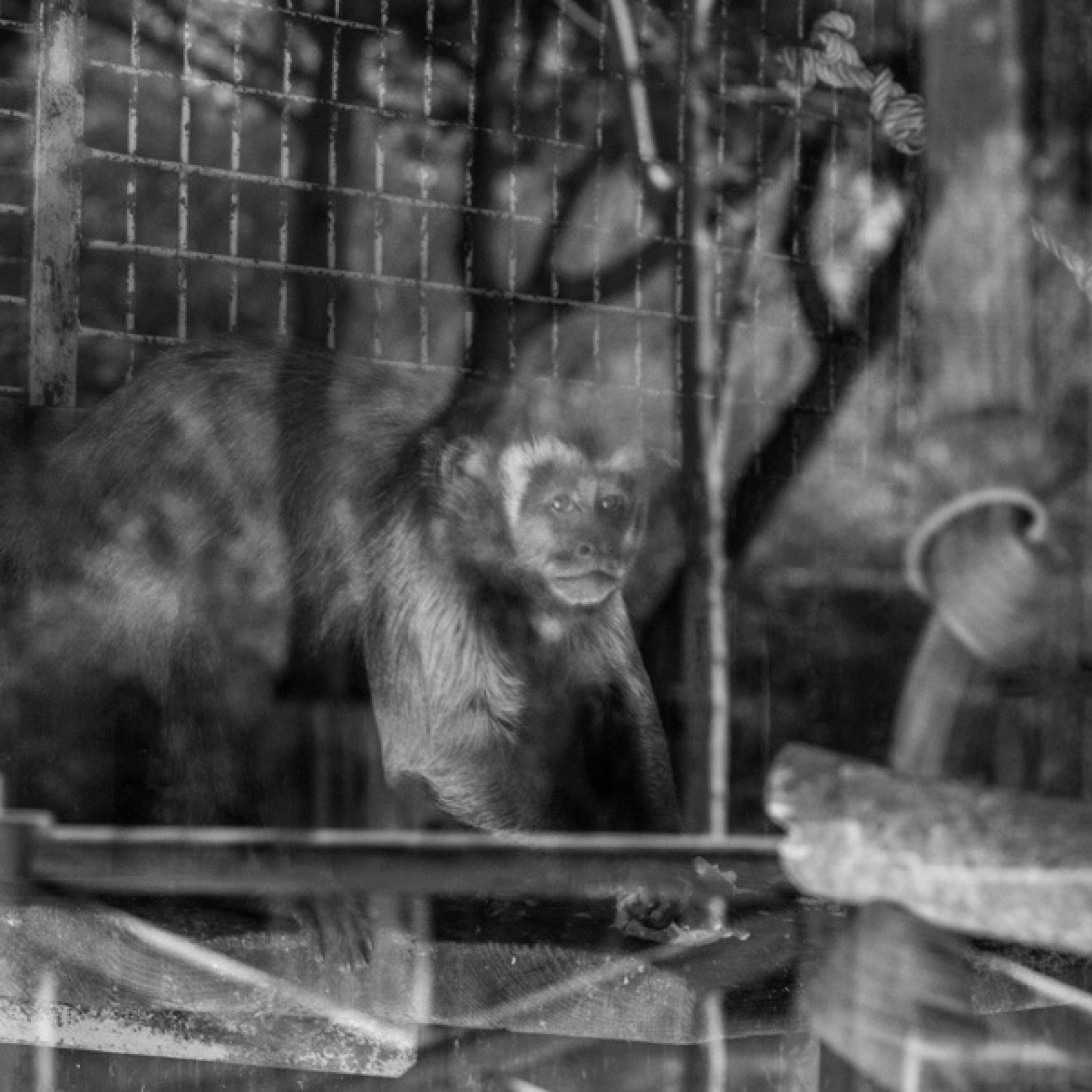 <?php echo pulse_output(); ?>