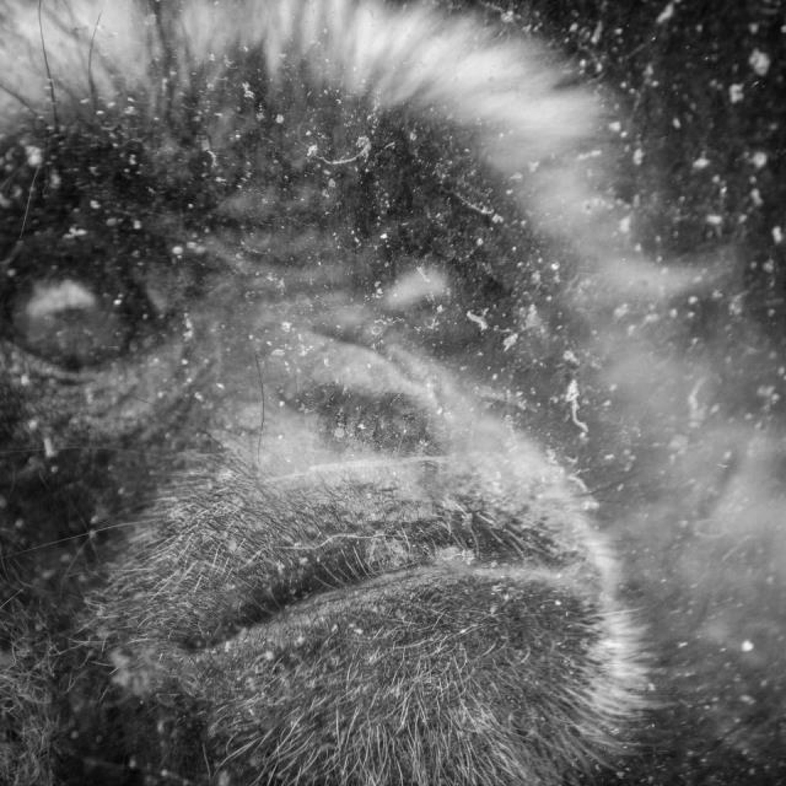 <?php echo pulse_output(); ?>