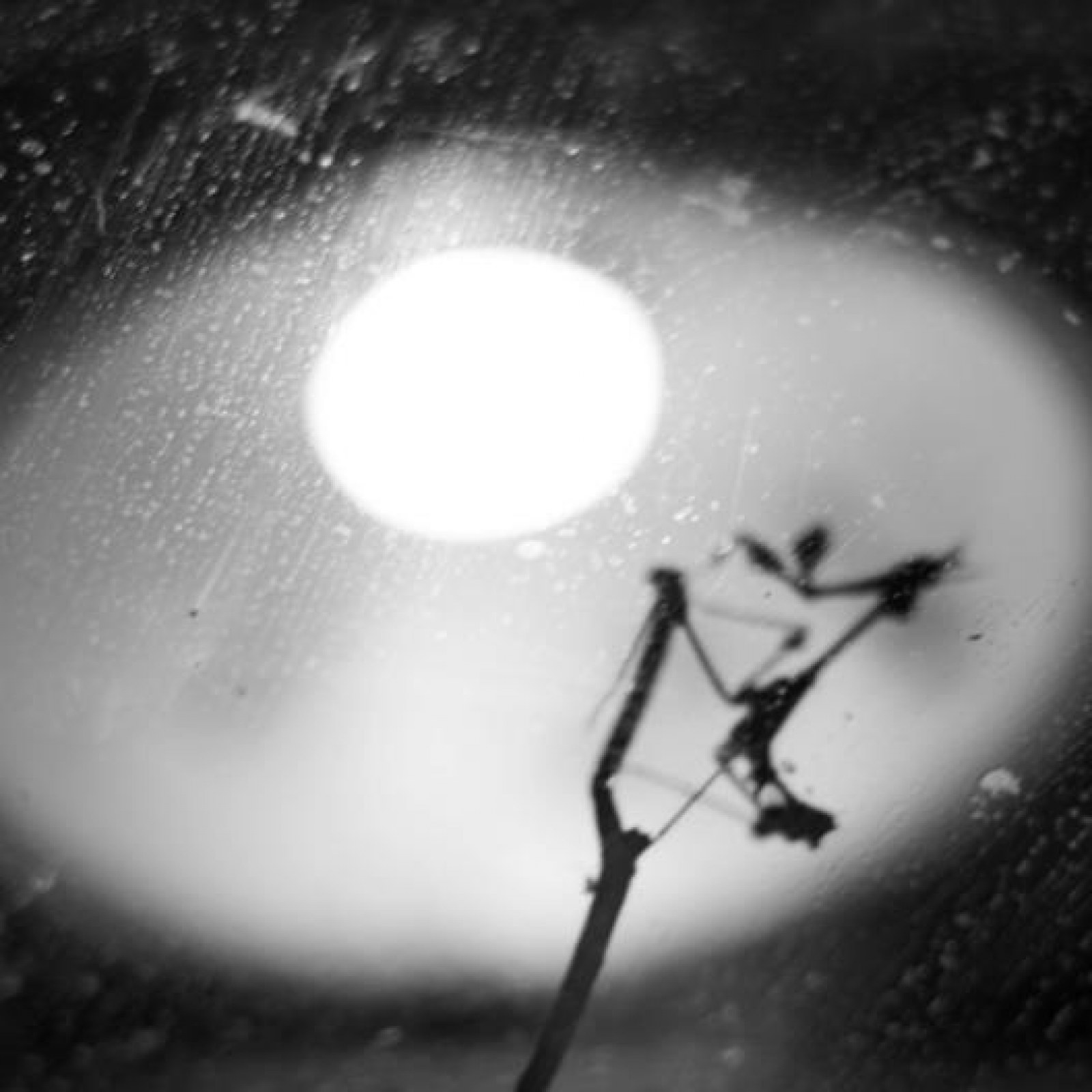 <?php echo pulse_output(); ?>