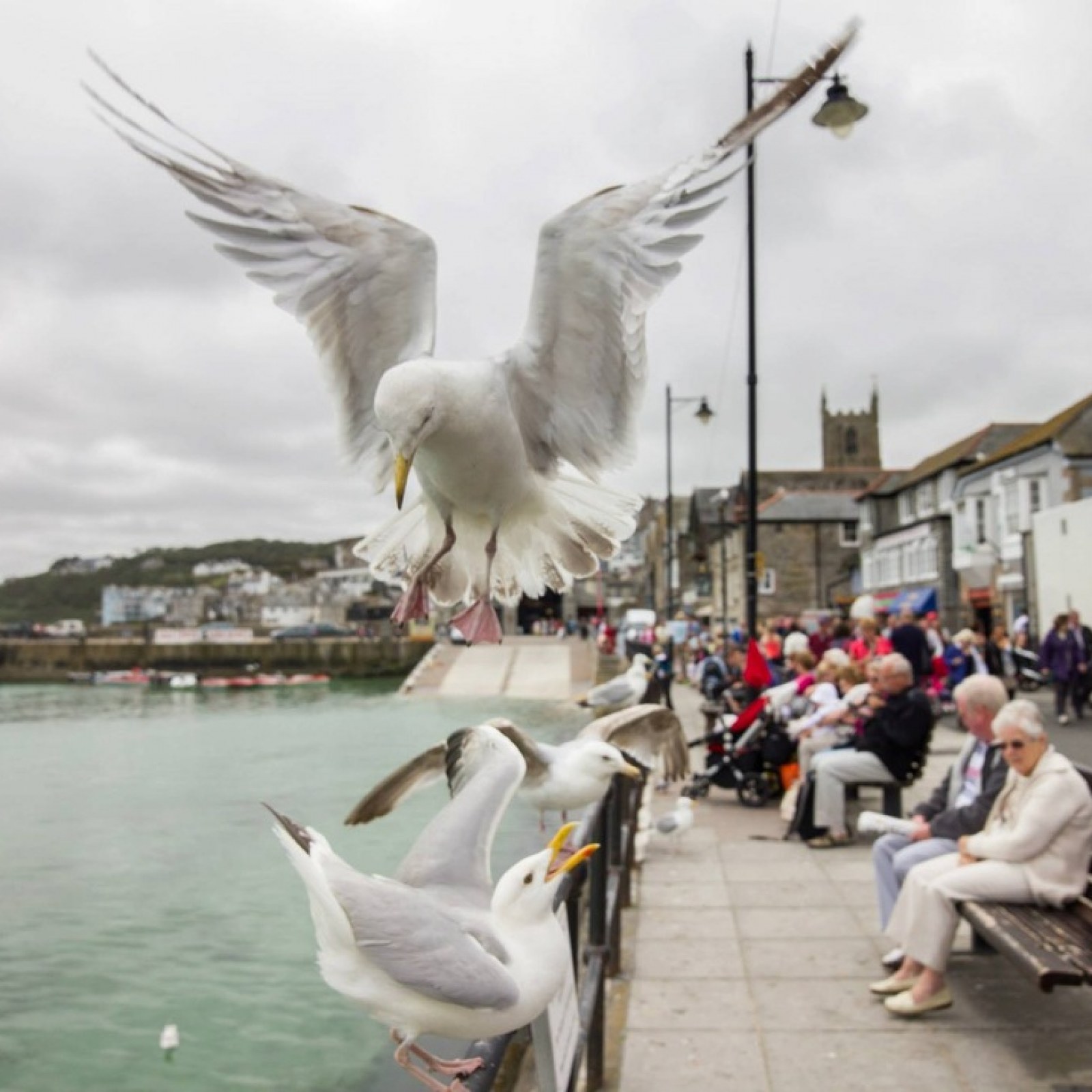 <?php echo pulse_output(); ?>