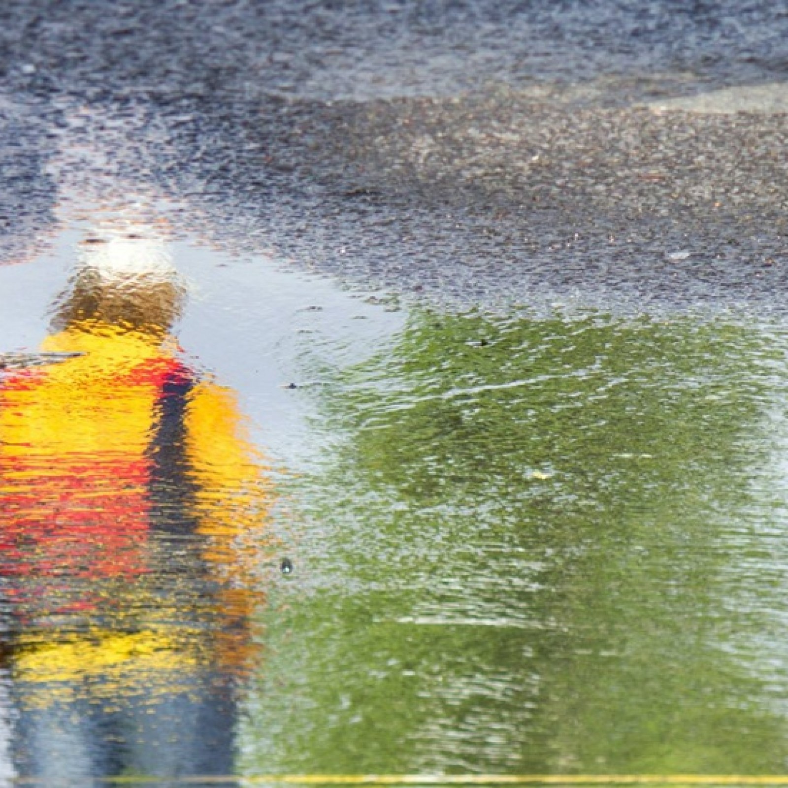 <?php echo pulse_output(); ?>