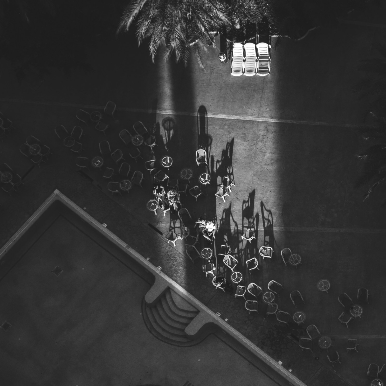 <?php echo pulse_output(); ?>