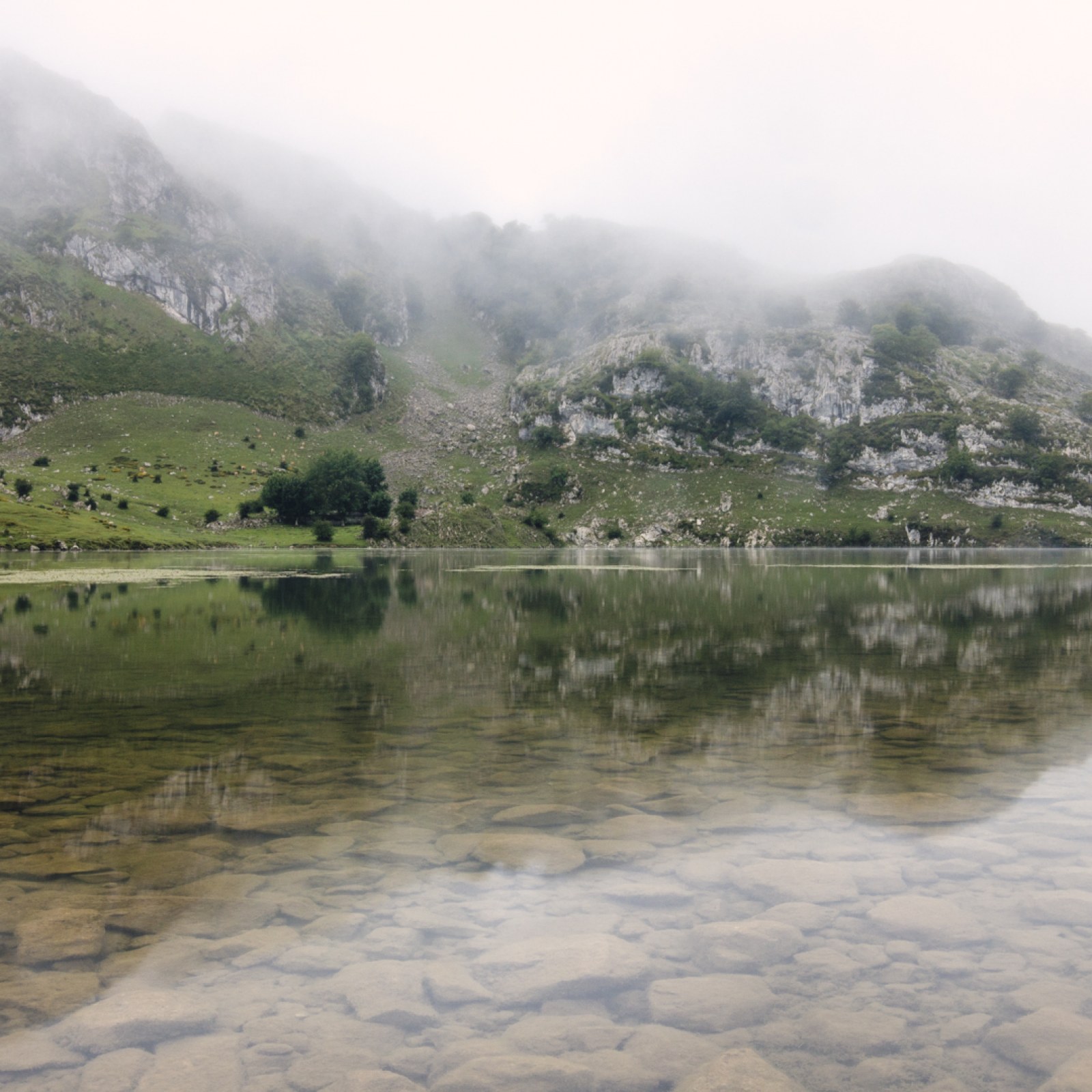 <?php echo pulse_output(); ?>