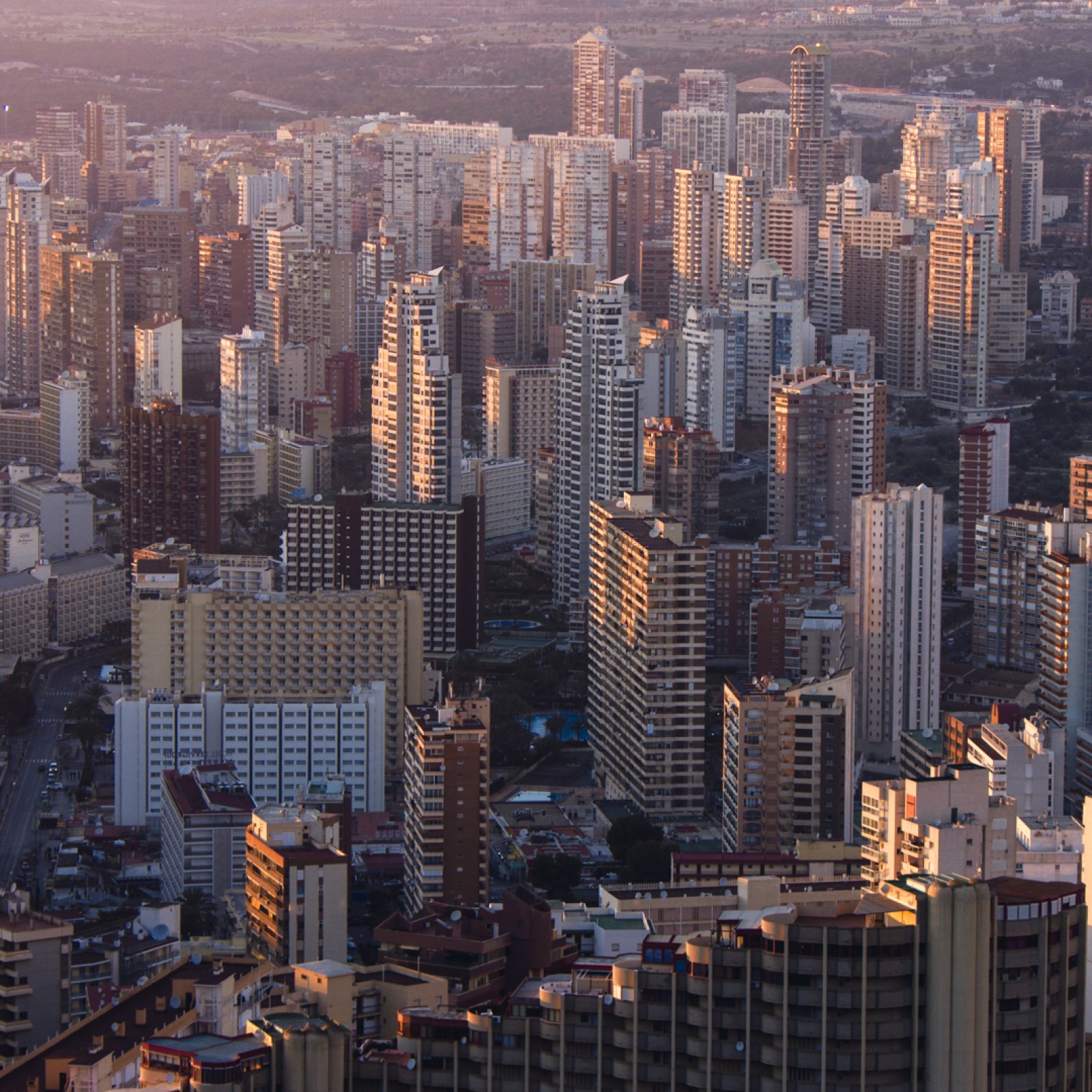 <?php echo pulse_output(); ?>