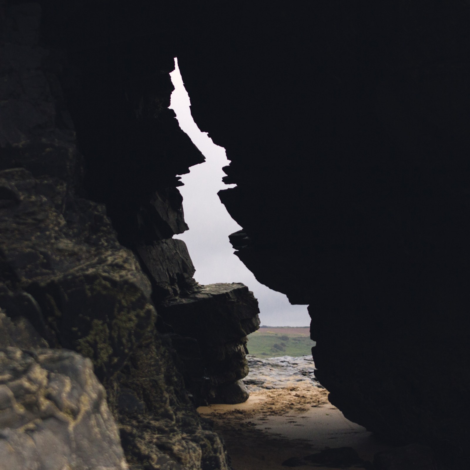 <?php echo pulse_output(); ?>