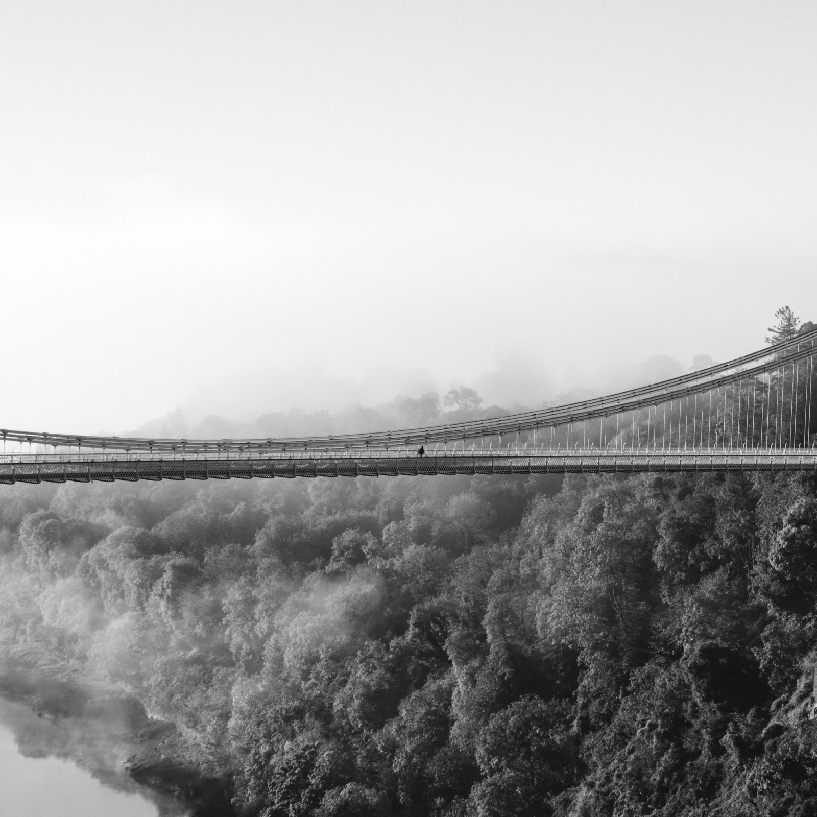 <?php echo pulse_output(); ?>