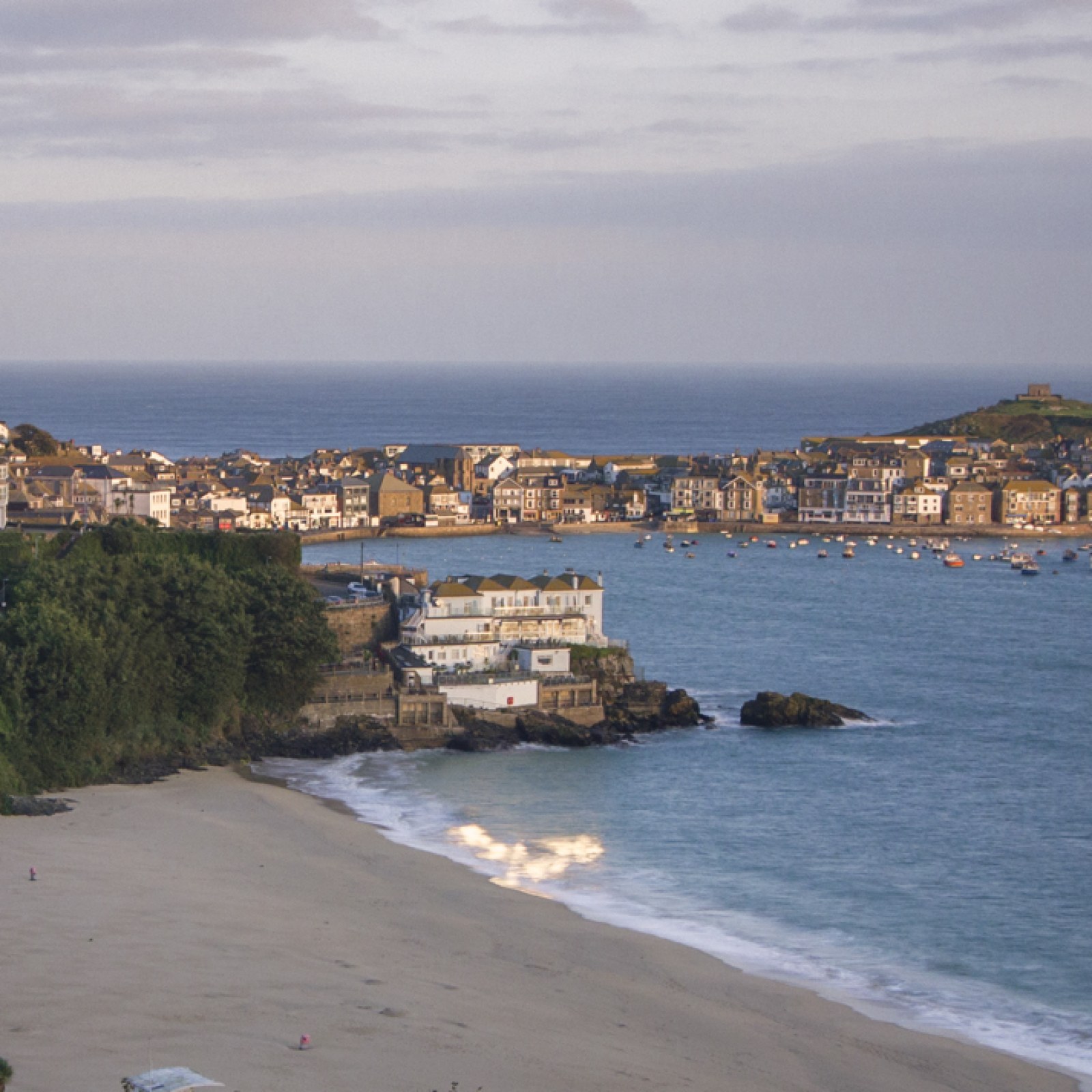 <?php echo pulse_output(); ?>