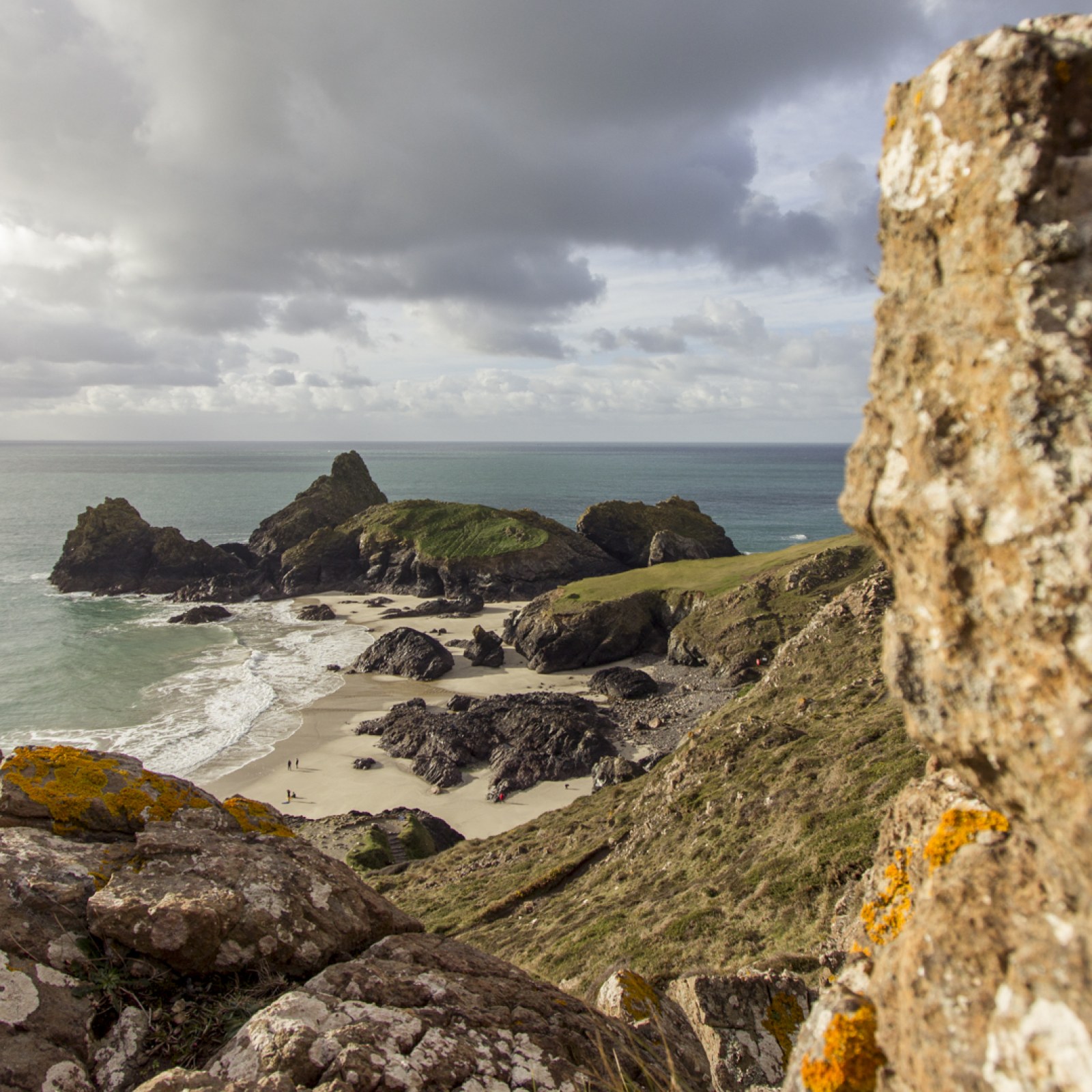 <?php echo pulse_output(); ?>