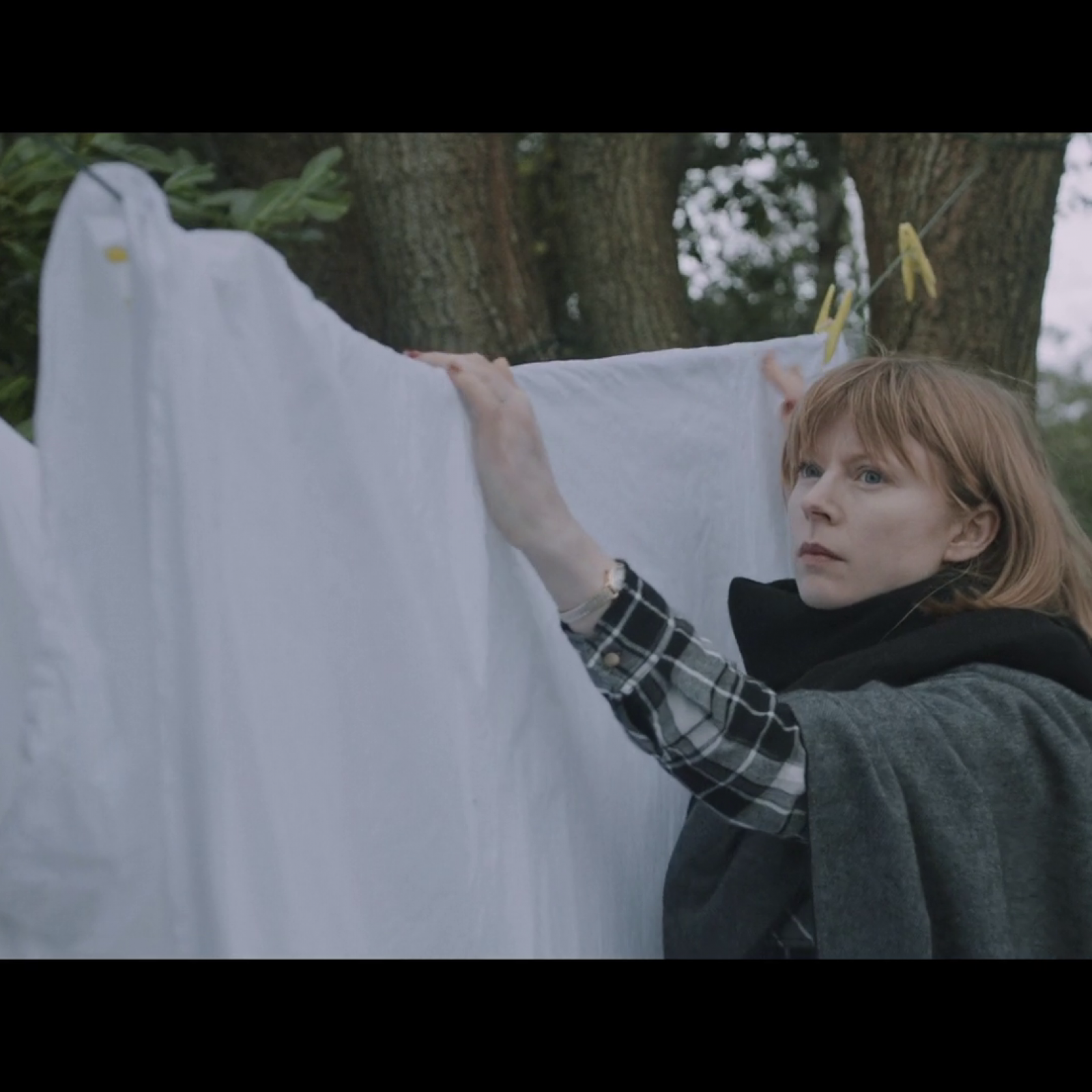 <?php echo pulse_output(); ?>